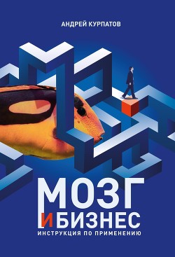 Мозг и бизнес - Курпатов Андрей
