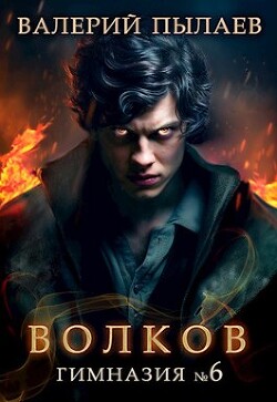 Волков. Гимназия №6 (СИ) - Пылаев Валерий