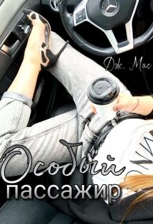 Читать книгу Особый пассажир (СИ), автор Мас Дж. "Дж. Мас" Особый пассажир (СИ) - Мас Дж. "Дж. Мас"