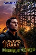 Читать книгу Назад в СССР: 1987 Книга 7 (СИ)