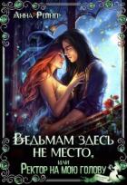 Читать книгу Ведьмам здесь не место, или Ректор на мою голову (СИ)