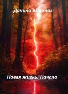 Начало (СИ) - Шнитов Данила