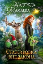 Стажировка вне закона - Мамаева Надежда