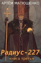 Радиус 227 книга третья (СИ) - Матюшенко Артем