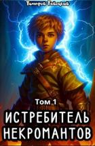 Истребитель некромантов. Том 1 (СИ) - Тайецкий Тимофей