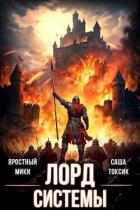 Лорд Системы 14 (СИ) - Токсик Саша