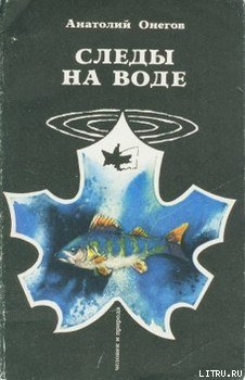 Вода, настоянная на чернике - Онегов Анатолий Сергеевич