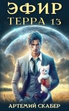 Эфир. Терра 13 (СИ) - Скабер Артемий