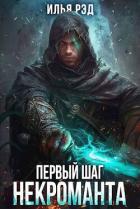 Первый шаг Некроманта. Том 3 (СИ) - Рэд Илья