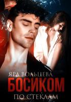 Читать книгу Босиком по стеклам, автор Яра Вольцева Босиком по стеклам - Яра Вольцева