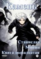 Камень. Книга двенадцатая - Минин Станислав