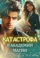 Катастрофа в академии магии (СИ) - Солейн Анна