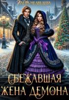 Читать книгу Сбежавшая жена демона