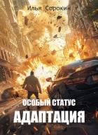 Особый статус II. Адаптация (СИ) - Сорокин Илья