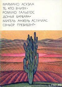 Читать книгу Донья Барбара, автор Гальегос Ромуло Донья Барбара - Гальегос Ромуло