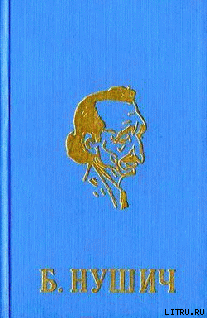Читать книгу Бешеный Теофило