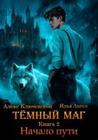 Тёмный маг. Книга 2. Начало пути - Ключевской (Лёха) Алекс