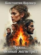 Чужак. Особый магистрат (СИ) - Нормаер Константин