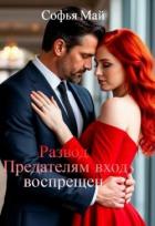 Читать книгу Развод. Предателям вход воспрещен (СИ), автор Май Софья Развод. Предателям вход воспрещен (СИ) - Май Софья