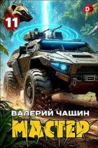 Читать книгу Мастер 11 (СИ), автор Чащин Валерий Мастер 11 (СИ) - Чащин Валерий