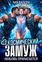 Читать книгу Космический замуж. Любовь прилагается (СИ), автор Валери Лия Космический замуж. Любовь прилагается (СИ) - Валери Лия