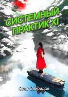 Системный практик XI (СИ) - Свиридов Олег