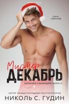 Читать книгу Мистер Декабрь (ЛП), автор Гудин Николь С. Мистер Декабрь (ЛП) - Гудин Николь С.