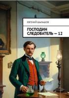 Господин следователь. Книга 12 (СИ) - Шалашов Евгений Васильевич