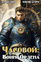 Часовой: воин Ордена (СИ) - Шторм Максим