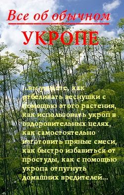 Все об обычном укропе - Дубровин Иван
