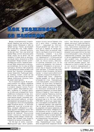 Читать книгу Как ухаживать за клинком