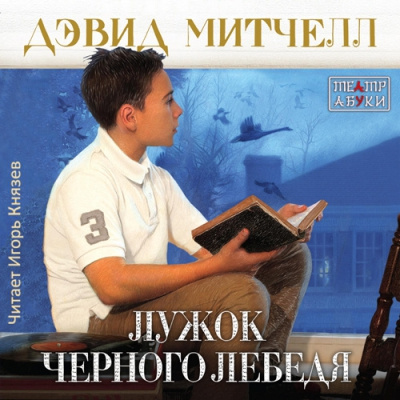 Слушать аудиокнигу Митчелл Дэвид - Лужок Черного Лебедя