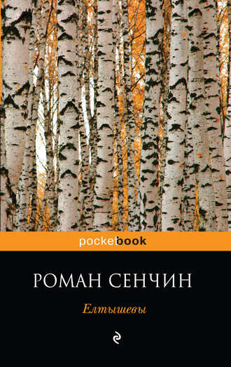 Аудиокнига Сенчин Роман - Елтышевы