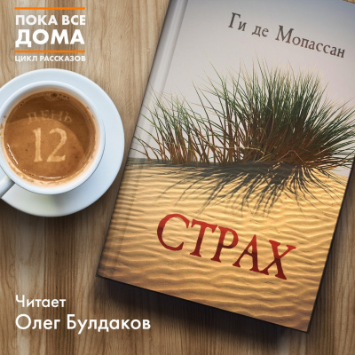 Аудиокнига Мопассан Ги Де - Страх