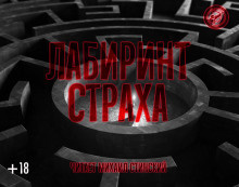 Слушать аудиокнигу Лабиринт страха