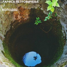 Аудиокнига Петровичева Лариса - Колодец