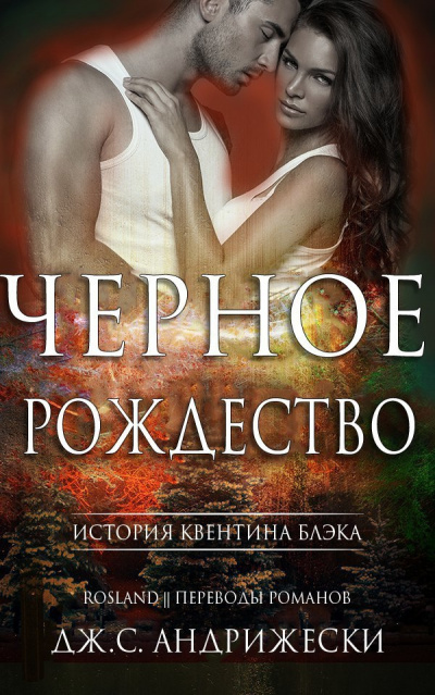 Аудиокнига Андрижески Дж. С. - Чёрное Рождество